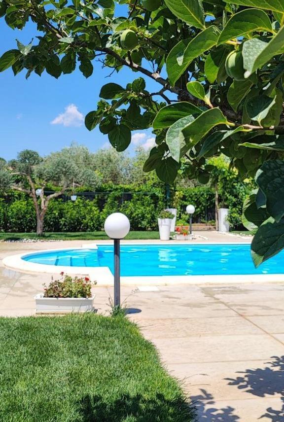 פיאצה ארמרינה B&B Villa Antonella מראה חיצוני תמונה